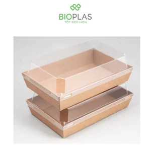 3RHOME-HỘP GIẤY CHỮ NHẬT NÂU 200*125 NẮP PET