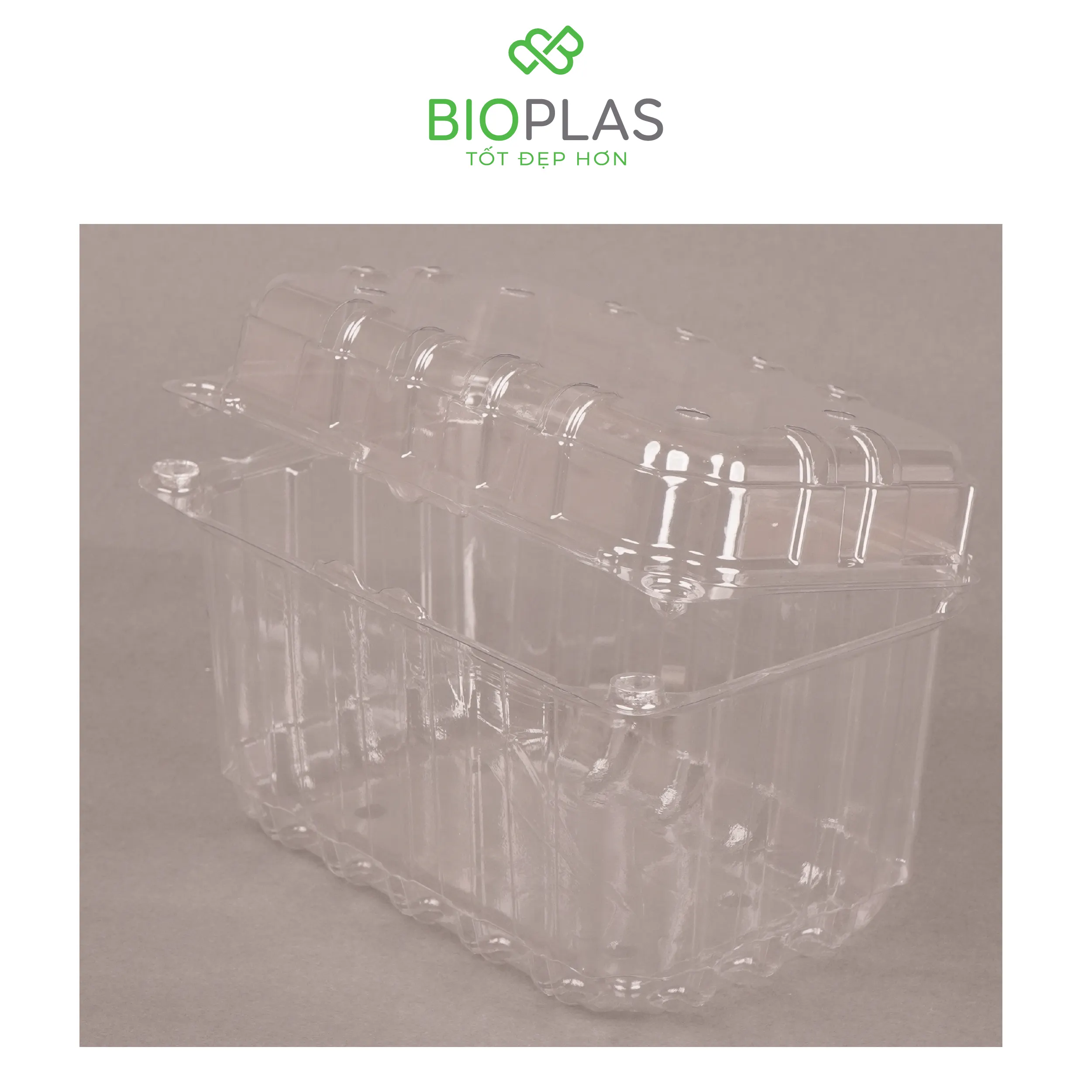 3RHOME-Hộp nhựa P1000B