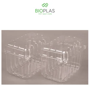 3RHOME-Hộp nhựa P1000B