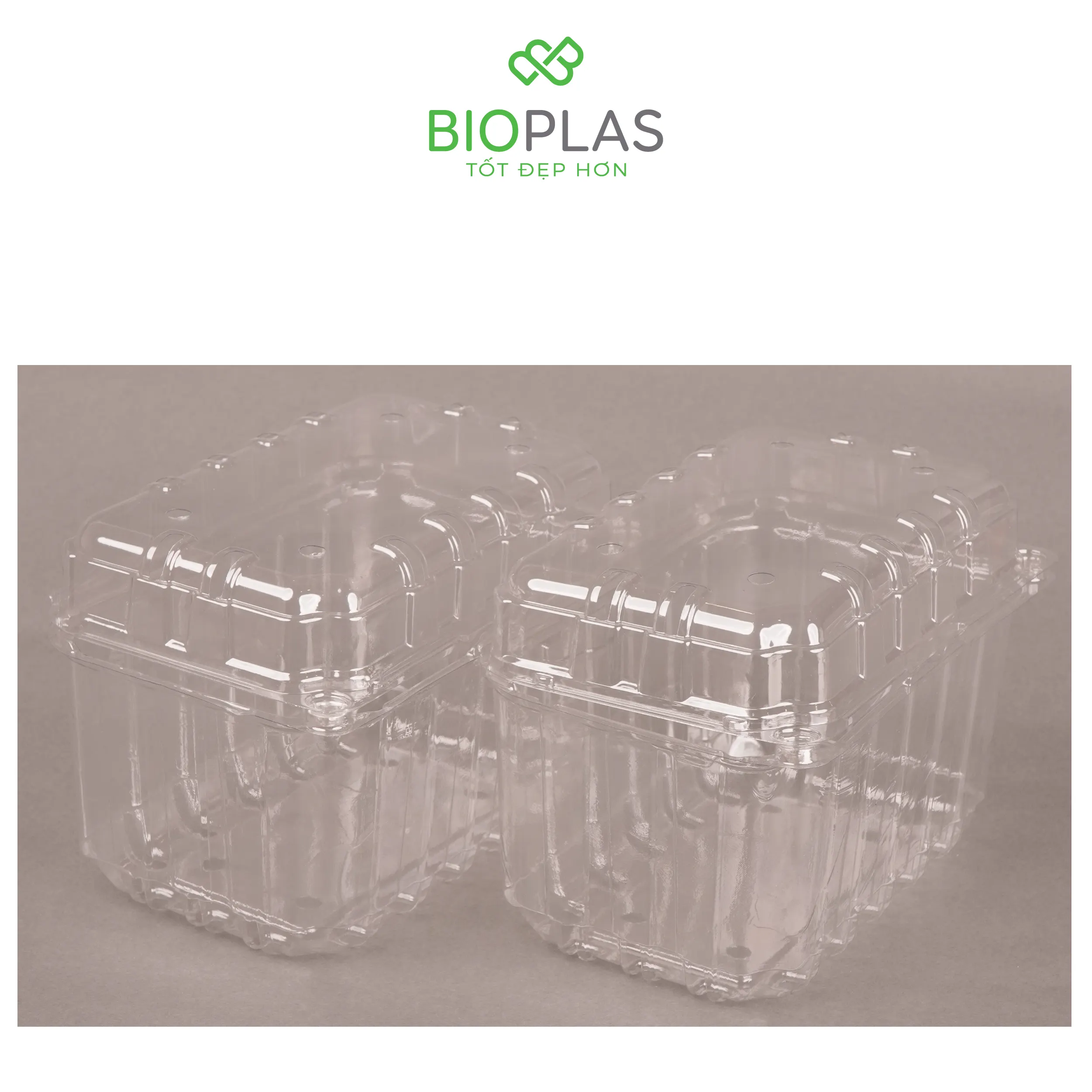 3RHOME-Hộp nhựa P1000B