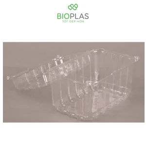 3RHOME-Hộp nhựa P1000B