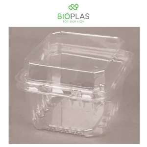 3RHOME-Hộp nhựa P250A (AN250)