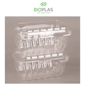 3RHOME-Hộp nhựa P500B