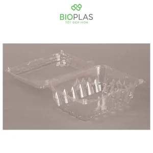 3RHOME-Hộp nhựa P500C