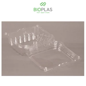 3RHOME-Hộp nhựa P500C